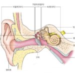 "항공성 중이염" 원인이 무엇인가? 미리 알고 예방하자!