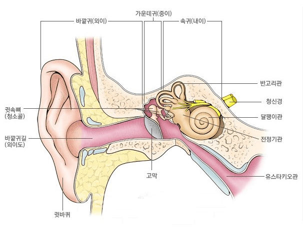 "항공성 중이염" 원인이 무엇인가? 미리 알고 예방하자!