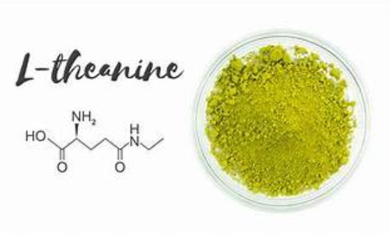 L-테아닌은 무엇인가?효능과 부작용 알아보기