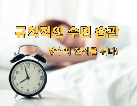 규칙적인 수면 습관, 장수의 열쇠를 쥐다