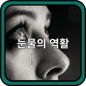 눈물흘림증, 눈물이 계속 나오는 건 왜? 원인과 대처법 총정리