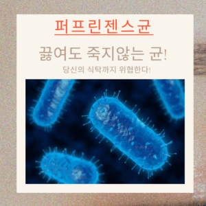 퍼프린젠스균, 끓여도 죽지않는 균! 당신의 식탁까지 위협한다!