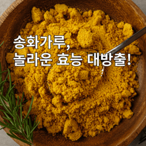 송화가루, 그냥 꽃가루가 아니다! 숨겨진 이 꽃가루 비밀에 대해 알아보기.